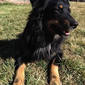 Meet your Posher, Nikki